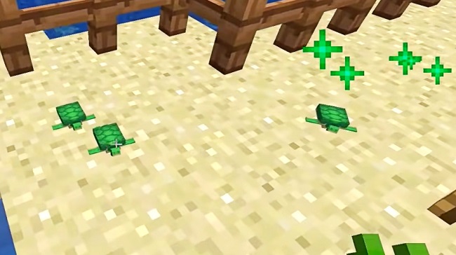 How To Make Turtle Eggs Hatch Faster in Minecraft